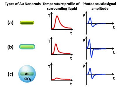 Schematic summary of the proposed thermal transport processes from the nanoparticle to the environment and the resulting temporal profiles of the temperature (T) near the surface and the amplitude of the photoacoustic signal (P) far from the surface of the nanoparticle. (a) A bare nanoparticle with high interfacial resistance leads to a broadened temperature profile and a smaller amplitude of the photoacoustic pressure signal. (b) Introducing a silica shell leads to a minimal interfacial resistance between gold (Au) and SiO2 and SiO2 and water. The resulting sharper temperature profile, and because the temperature profile is at a larger distance, the photoacoustic signal is increased. (c) A thick shell leads to a broadened temperature peak and again a decrease in the photoacoustic signal, although it may still be higher than that for the bare nanoparticle (Source: Reprinted with permission from Nano Letters 2011, 11 (2), pp 348–354. Copyright 2011 American Chemical Society) Schematic summary of the proposed thermal transport processes