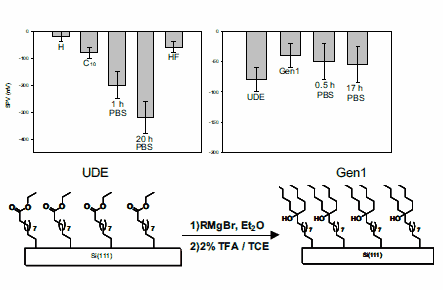 surface photovoltages