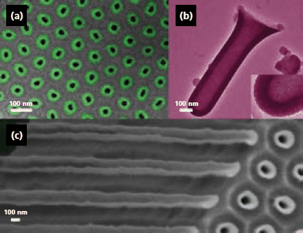 Electron micrographs (scanning, SEM; transmission, TEM) of iron oxide tubes. Scale bars: 100 nm. (a) SEM of an array of narrow tubes (11±4 nm Fe2O3, green circles) embedded in the alumina template; contrast enhanced by colorization. (b) TEM of a single thick and short tube (42±4 nm Fe3O4) isolated by dissolution of the template; the inset zooms in on the very smooth wall. (c) SEM of an array of thick ZrO2/Fe2O3/ZrO2 tubes (12±2/26±4/12±2 nm) embedded in the template: edge view at a crack, with tubes broken in their length and emerging on the top side of the membrane. Image reprinted with permission from J. Am. Chem. Soc. 2007, 129, 9554–9555, Copyright 2007 American Chemical Society. Electron micrographs (scanning, SEM; transmission