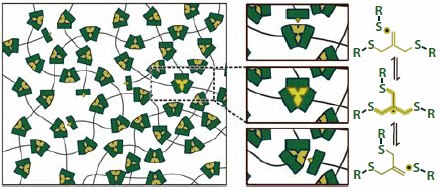 Methacrylate Cross-Linked Networks