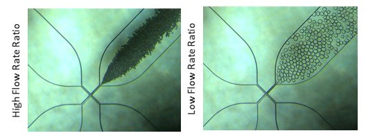 Microparticle size tuned using the NanoFabTx microfluidic device kits Microparticles of various sizes were synthesized using the NanoFabTx microfluidic device kit.