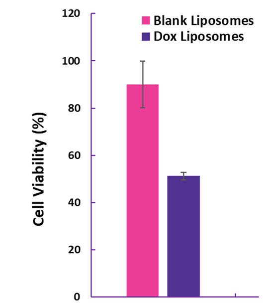 A cell viability graph of Dox-loaded PEGylated liposomes Dox-loaded PEGylated liposomes prepared with the NanoFabTx PEG Lipid mix compared to empty PEGylated liposomes.