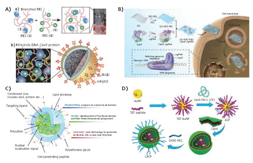 Delivery platforms based on hybrid materials