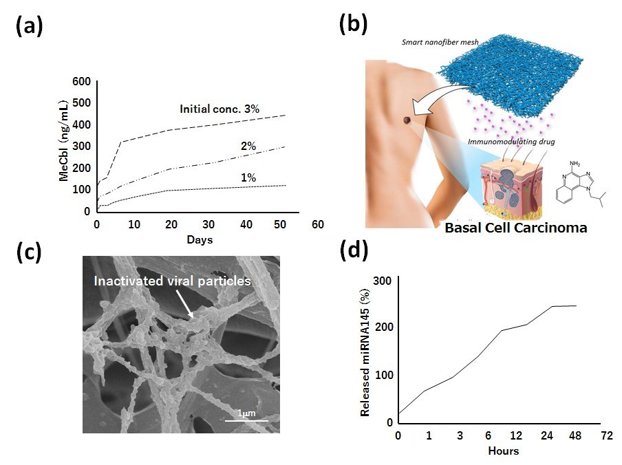 <b> A)</b> Drug release behavior of methylcobalamin (MeCbl) from PCL nanofiber meshes. <b>B)</b> Schematic image of immunomodulating drug-incorporated nanofiber mesh for basal cell carcinoma therapy. <b>C)</b> Scanning electron microscopic image of inactivated viral particlesmodified PCL nanofiber mesh for prostate cancer therapy. <b>D)</b> Drug release behavior of micro RNA 145 from PCL nanofiber mesh. Drug release behavior of methylcobalamin