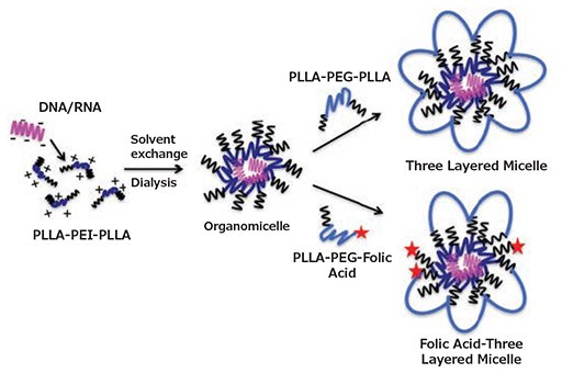 Formulation of non-targeted and targeted three-layered micelles in a 2-step process. Depending on the use of PLLA-PEG-PLLA only or blends of PLLA-PEG-PLLA with PLLA-PEG-FA for the outer layer, non-targeted or folate-receptor targeted three-layered micelles are obtained, respectively. Reprinted with permission from Mohammadi et al.14 Copyright 2016 Elsevier. Formulation of non-targeted and targeted three-layered micelles in a 2-step process