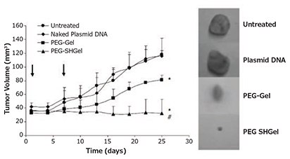 Highlighted nanocarrier example, thiolated and non-thiolated PEGylated type B gelatin nanocarriers loaded with pDNA encoding an anti-angiogenic agent stopped tumor growth for 20 days after intravenous administration in mice bearing orthotopic MDA-MB-435 breast adenocarcinoma xenografts. Reprinted with permission from Macmillan Publishers Ltd: Gene Therapy (Reference 17), copyright (2007). Figure 5. Highlighted nanocarrier example, thiolated and non-thiolated PEGylated type B gelatin nanocarriers loaded with pDNA encoding an anti-angiogenic agent stopped tumor growth for 20 days after intravenous administration in mice bearing orthotopic MDA-MB-435 breast adenocarcinoma xenografts. Reprinted with permission from Macmillan Publishers Ltd: Gene Therapy (Reference 17), copyright (2007).