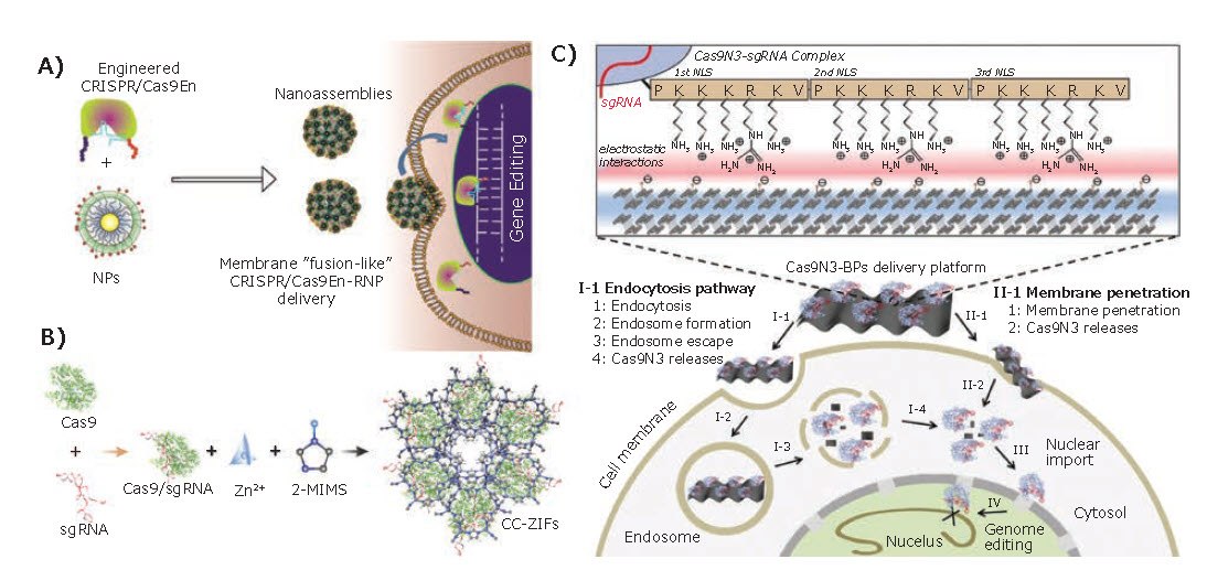 Inorganic Nanoparticles