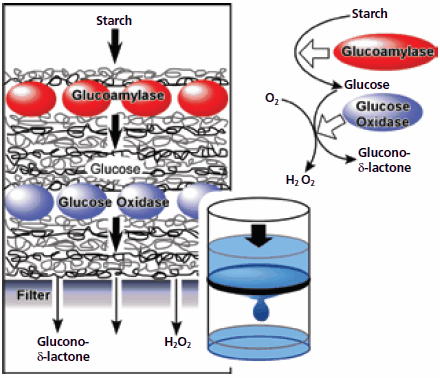 LbL assembled multienzyme reactor. Reprinted with permission from Ariga, K. et al. <em>Phys. Chem. Chem. Phys. 2007, 9</em>, 2319. © 2007, Royal Society of Chemistry. LbL assembled multienzyme reactor.