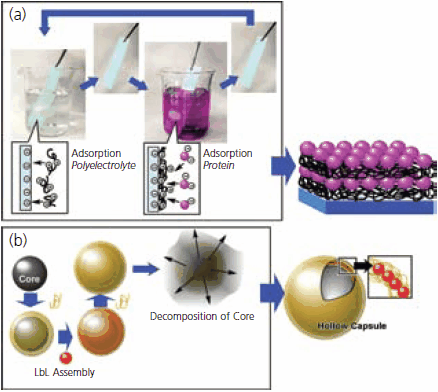 Process of LbL assembly (<strong>a</strong>) on a solid substrate; (<strong>b</strong>) on a colloidal core. Reprinted with permission from Ariga, K. et al. <em>Phys. Chem. Chem. Phys. 2007, 9</em>, 2319. © 2007, Royal Society of Chemistry. Process of LbL assembly