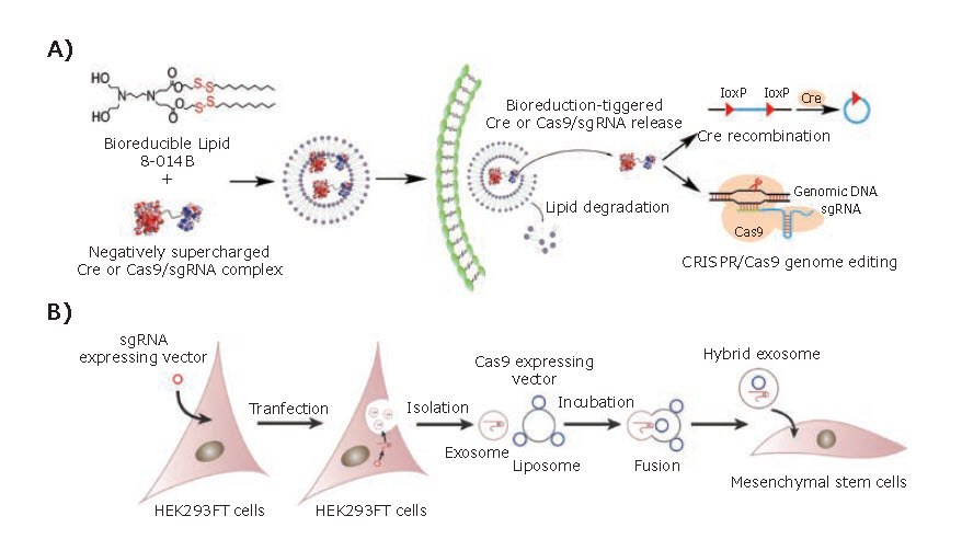 Lipid-based platforms
