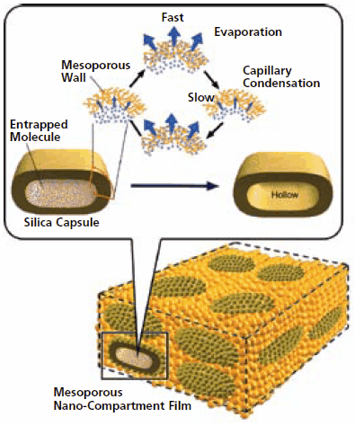 Mesoporous nanocompartment film. Reprinted with permission from Ji, Q. et al. <em>J. Am. Chem. Soc.</em> 2008, 130, 2376. © 2008, American Chemical Society. Mesoporous nanocompartment film.