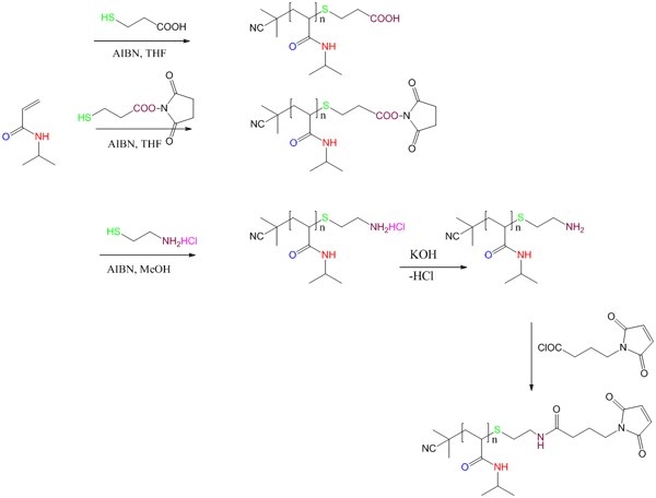 Synthesis of Chain End Functionalized PNIPAM Functionalization using Chain Transfer Agents (CTA)