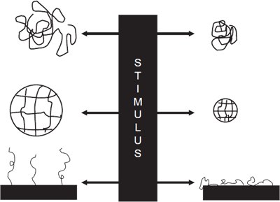 a) Collapse of linear free chains b) Swelling or shrinking of a gel c) Swelling or collapsing on surface Stimuli-responsive Polymer Forms