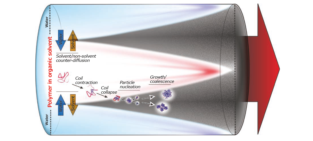 Different steps of phase separation Different steps of phase separation