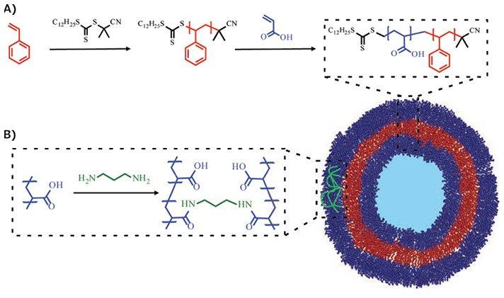 Representative synthesis of BCP via RAFT polymerization and BCP self-assembly into polymersomes, as well as polymersome stabilization through crosslinking. A) A hydrophobic block of polystyrene (PS) is produced by RAFT polymerization. From this is grown a hydrophilic polymer block of poly(acrylic acid) (PAA). Self-assembly of the PS-b-PAA BCP yields polymersome capsules. B) Crosslinking can be utilized to increase the stability of polymersomes represented here by amide formation between poly(acrylic acid) chains. Representative synthesis of BCP via RAFT polymerization and BCP self-assembly into polymersomes, as well as polymersome stabilization through crosslinking.