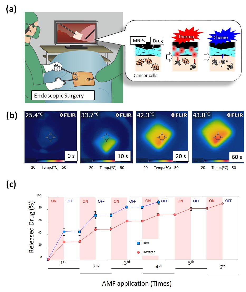 <b> A)</b> Schematic illustration for on-off switchable temperature-responsive fiber mesh for cancer thermo-chemotherapy. <b>B)</b> The infrared thermal images of MNPs-loaded nanofiber mesh in AMF. <b>C)</b> On-off switchable drug release profiles for DOX and dextran from temperature-responsive nanofiber meshes in response to AMF application. Schematic illustration for on-off switchable temperature-responsive fiber mesh for cancer thermo-chemotherapy