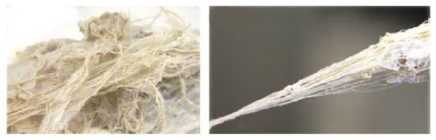 (a) Fibril materials from which BNNT yarns (b) can be drawn. Fibril materials from which BNNT yarns (b) can be drawn