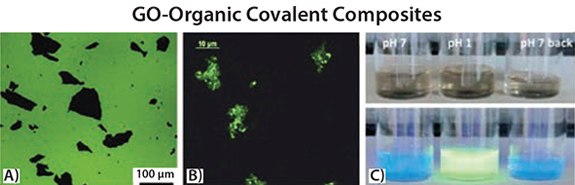 A) GO sheets quenching the fluorescence of a thin layer of oligothiophene molecules on SiOx.52 B) Fluorescent GO sheets, obtained by functionalization of GO with oligothiophene dyes, using a flexible diamine linker.37 C) Images of GO–oligothiophene covalent composites in EtOH at neutral pH, upon acidification with HCl and re-neutralization by triethylamine (TEA) (from left to right) under normal light (top) and UV irradiation (bottom) showing the reversible emission switch. GO sheets quenching the fluorescence of a thin layer of oligothiophene molecules