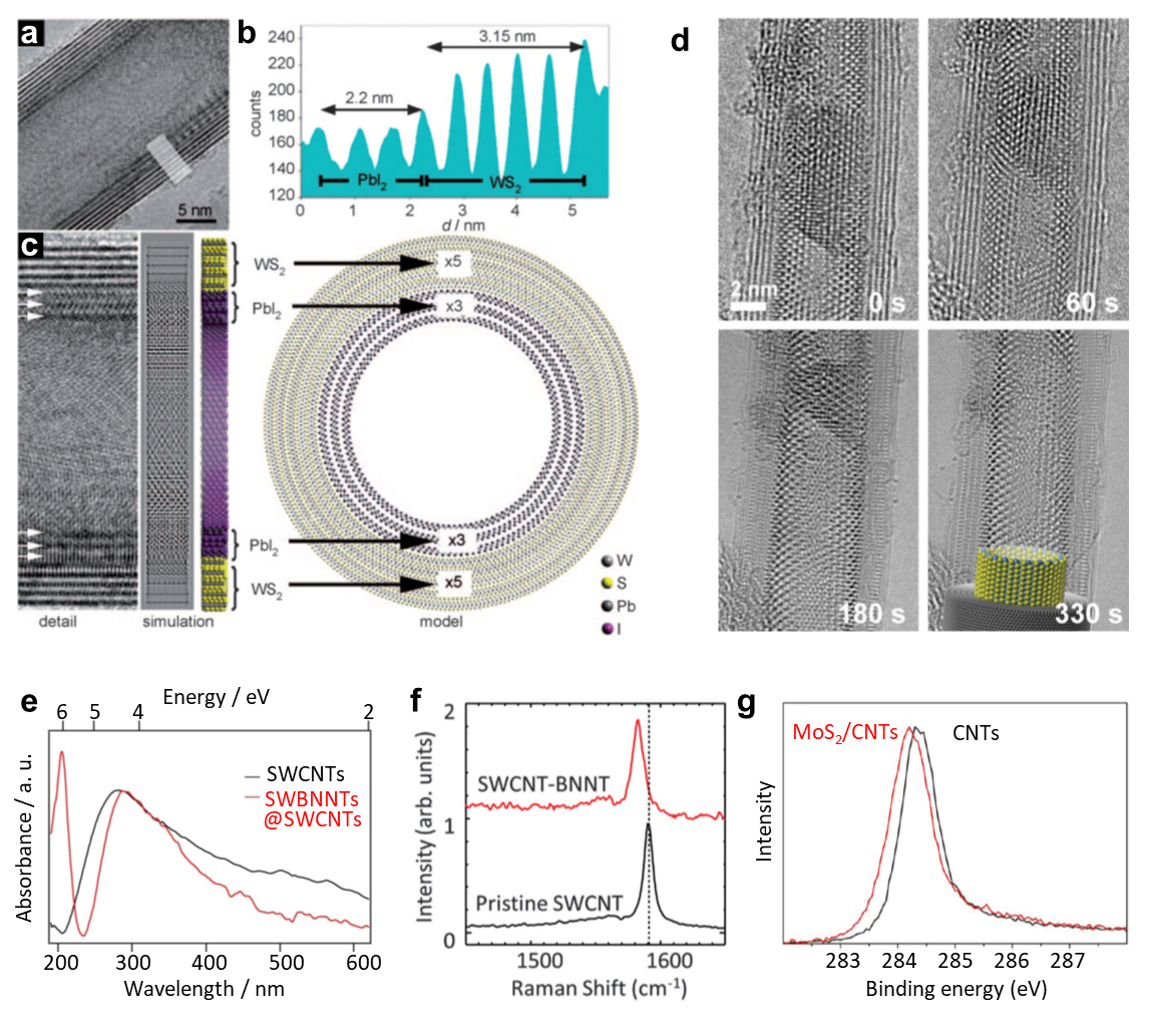 <b>A</b>) HRTEM micrograph showing a core-shell PbI<sub>2</sub>@WS2 composite nanotube. <b>B</b>) Line profile obtained from the indicated region in-plane (A); <b>C</b>) the complex contrast of the inner PbI<sub>2</sub> layers (arrowed) relative to the outer WS2 layers. Reprinted with permission from reference 13, copyright 2016 Wiley-VCH Verlag GmbH & Co. KGaA, Weinheim. <b>D</b>) Sequence of images showing the transformation from a nanorod fragment onto a single-layered nanotube, cyan, green and grey spheres representing Pb, I and C atoms, respectively. Reprinted with permission from reference 14, copyright 2016 WILEY-VCH Verlag GmbH & Co. KGaA, Weinheim. <b>E</b>) Absorption spectroscopy of SWCNTs and SWBNNT@SWCNTs. Reprinted with permission from reference 15, copyright 2016 Springer Nature. <b>F</b>) Raman presents typical G band of an individual SWCNT before and after BN coating. Reprinted with permission from reference 4, copyright 2021 American Association for the Advancement of Science. <b>G</b>) XPS C 1s spectra of pristine CNT sample and MoS<sub>2</sub>/CNTs composite. Reprinted with permission from reference 16, copyright 2011 American Chemical Society. HRTEM micrograph showing a core-shell PbI2@WS2 composite nanotube