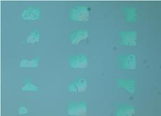 Kit modified PDMS surface: 1st imprint Kit modified PDMS surface: 1st imprint