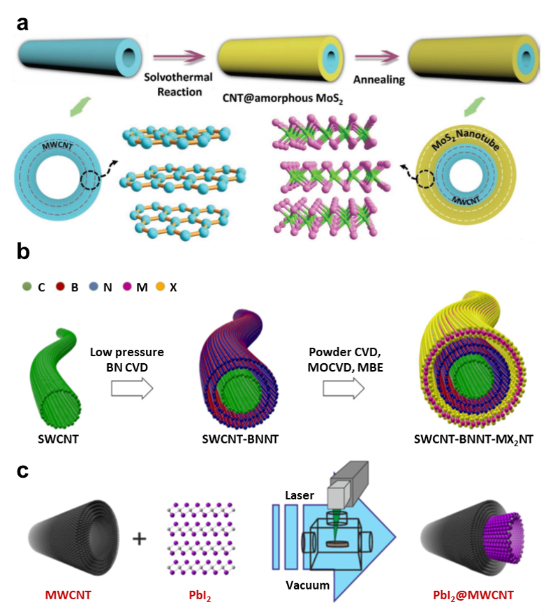<b>A</b>) Schematic representation of the solvothermal synthesis process of coating crystalline MoS<sub>2</sub> layers onto CNTs. Reprinted with permission from reference 9, copyright 2016 WILEY-VCH Verlag GmbH & Co. KGaA, Weinheim. <b>B</b>) Sketch shows the solvent-free high-temperature route of a SWCNT-BNNT-MX2NT 1D vdWHs. Reprinted with permission from reference 4, copyright 2021 American Association for the Advancement of Science. <b>C</b>) Illustration of the laser-assisted filling of multiwalled carbon nanotubes. Reprinted with permission from reference 12, copyright 2018 American Chemical Society. Schematic representation of the solvothermal synthesis process of coating crystalline MoS2 layers onto CNTs