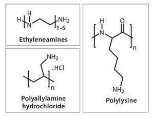 Structures of selected additives typically used in bio-inspired silica synthesis. Structures of selected additives typically used in bio-inspired silica synthesis.