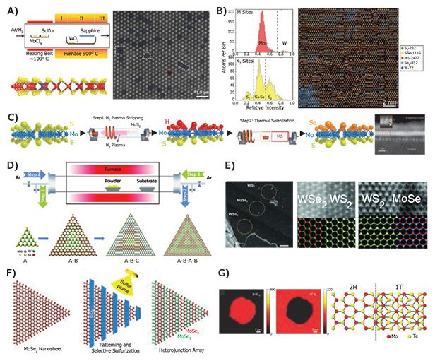 Controlled doping and growth of heterostructures. A) Schematic setup for doping a WS2 monolayer with Nb atoms (left). Atomic-resolution micrograph showing the Nb dopants in blue in addition to other defects such as vacancies (right).63 B) Quaternary solid solution of Mo, W, S, and Se atomic layer with the respective distributions of metal and chalcogen atom sites (left). Atomic-resolution micrograph with color coded atoms (right).66 C) Schematic synthesis procedure for a Janus TMDC monolayer that consists of Se-Mo-S layered sequentially within a single three-atom thick layer.68 D) Schematic dual-direction carrier gas flow setup for sequentially growing in-plane TMDC multi-heterojunctions and superlattices. E) Ball and stick atomic structures of multi-heterojunctions and high-resolution electron micrographs of junction interfaces.73 F) Schematic of top-down superlattice synthesis using lithographically patterned sulfurization of MoSe2.74 G) Raman maps showing in-plane heterojunctions of the 2H semiconducting and 1T metallic phase of MoTe2 with corresponding ball and stick schematic.76 Reprinted with permission: A, B, G copyright 2016, 2017 Wiley VCH; C, F copyright 2015 MacMillan Publishers Ltd.; D, E copyright 2017 American Association for the Advancement of Science. Controlled doping and growth of heterostructures.