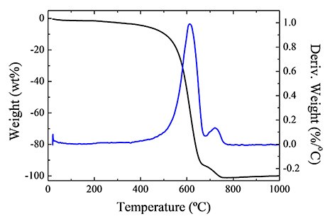 TGA and derivative TGA of holey-SWCNHs.