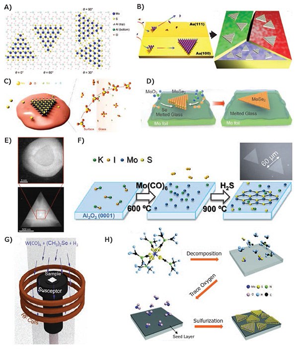 Substrate and nucleation engineering for growth control. A) Sapphire substrates control van der Waals epitaxy in a manner that results in crystallographic alignment of all MoS2 islands, allowing the formation of a single-crystal monolayer.46 B) Catalytically active substrates such as Au foils allow growth at lower temperatures, and different crystal orientations of the Au support provide different nucleation and growth rates.49 C,D) Soda lime glass (C) has been used to trap/dissolve small amounts of MoO3 precursor in the glass substrate which when passed over by S results in the growth of monolayer MoS2 crystals.50 Likewise, molten silica glass (D) presents an atomically smooth surface enhancing diffusion for the growth of millimeterscale single crystals of MoS2 and MoSe2.51 E) Powder precursor growth often results in a TMDC fullerene nucleus encapsulating an oxide crystal that gets consumed and results in lateral 2D growth upon further sulfurization.52 F) Metal organic chemical vapor deposition (MOCVD) helps overcome the shortcoming of conventional CVD using powder precursors, but also requires nucleation assistance by alkali metals such as K and Na.54 G) MOCVD has also been demonstrated in a cold-walled vertical reactor using induction heaters to grow WSe2.55 H) Careful design of the metal organic precursor can allow incorporation of the metal source and seeding layer in the same molecule to promote uniform nucleation and growth.56 Reprinted with permission: A-F copyright 2015, 2016, 2017 American Chemical Society; G copyright 2016 Institute of Physics Publishing; H copyright 2016 The Royal Society of Chemistry. Substrate and nucleation engineering for growth control.