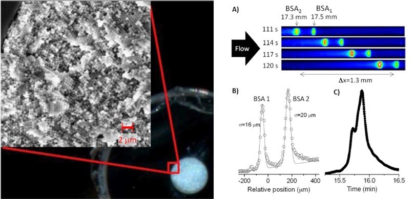 Photograph of the cross-section of a packed 75 μm i.d. capillary Photograph of the cross-section of a packed 75 μm i.d. capillary.