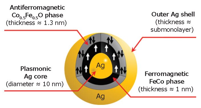 Illustration of a single MPNB showing its internal structure. Illustration of a single MPNB showing its internal structure.