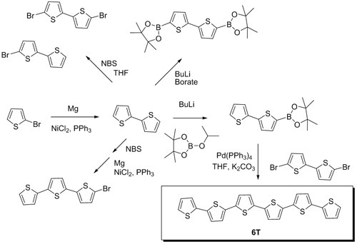 illustrates different synthetic pathways to oligothiophene building blocks, and ultimately to functional oligothiophenes via Suzuki Coupling. oligothiophene building blocks
