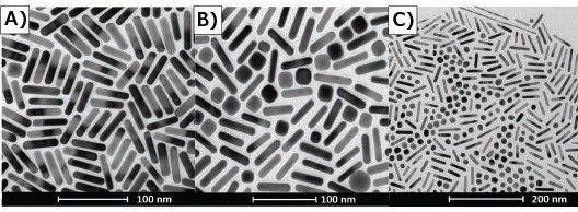 TEM’s of gold nanorods illustrating selection bias