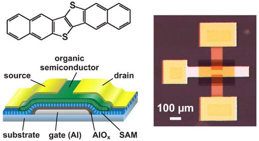 Cross section and photograph of a DNTT TFT