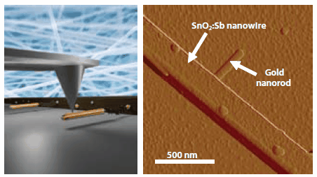 Artistic impression of the measuring of a single or a few molecules via a conducting AFM tip (left) and AFM picture (right) of gold nanorods self-assembled to tin oxide nanowires mediated by thiol end-capped oligo(phenylenevinylene) molecules.