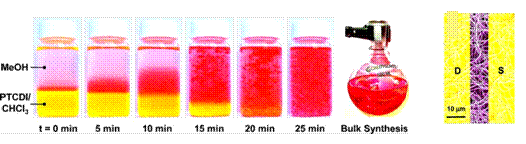 <b>(A)</b> Series of optical photographs detailing the interfacial self-assembly of PTCDI nanowires (NWs). The last picture frame illustrates a 500 mL flask containing a large quantity of PTCDI-C8 (<a href="/product/aldrich/663913">663913</a>) NWs that were also synthesized in ~25 min. <b>(B)</b> Colorized SEM image of a network of PTCDI-C8 NWs drop-cast across the fold electrodes from a methanol suspension. ©2007 American Chemical Society. Series of optical photographs detailing the interfacial self-assembly of PTCDI nanowires