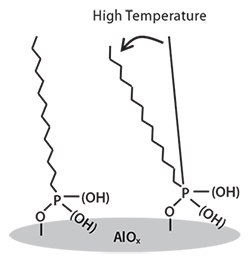 Schematic illustration of SAM