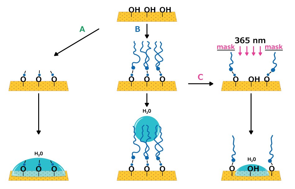 SAM modification: short chains for hydrophilic films, long chains for hydrophobic surfaces, photopatterned chains for nanoscale patterns.