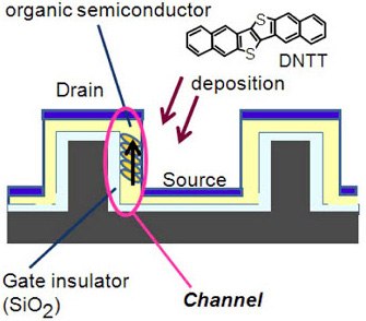 Illustration of cross-sectional view of the typical 3D-OFET