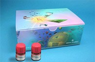 Plexcore PV ink system kit 