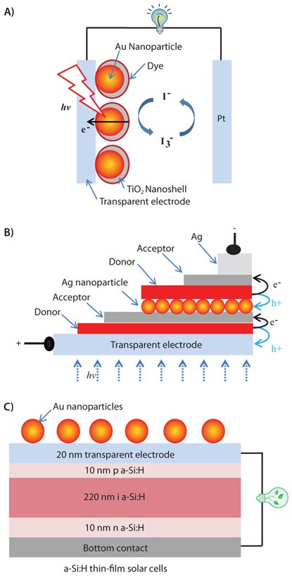 Schematic of surface-enhanced dye-sensitized solar cell (A), double heterojunction OPV (B), and silicon solar cell (C) with their efficiencies enhanced by gold nanoparticles. Figure 1. Schematic of surface-enhanced dye-sensitized solar cell (A), double heterojunction OPV (B), and silicon solar cell (C) with their efficiencies enhanced by gold nanoparticles.