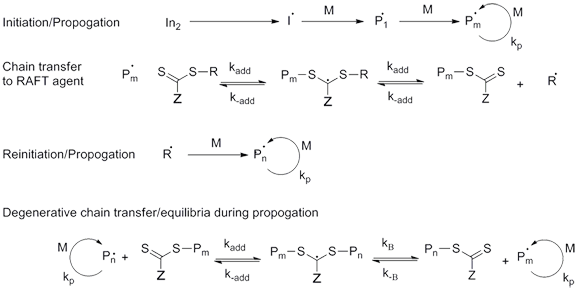 RAFT polymerization process RAFT polymerization process