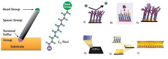 Self-Assembly - Applications Self-Assembly - Applications