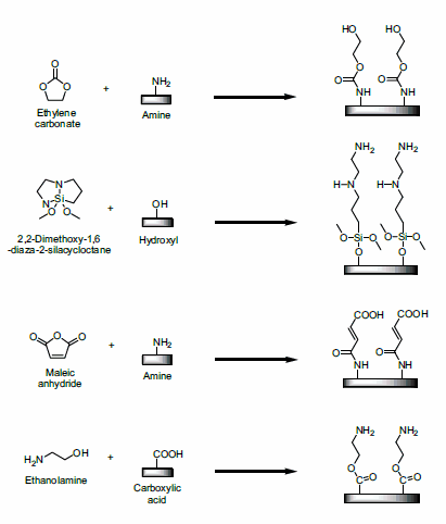 Examples of various reactions involving ring-opening or heterobifunctional reactants. Examples of various reactions involving ring-opening or heterobifunctional reactants.