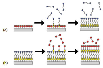 Schematic of the molecular layer deposition (MLD) method based on sequential, self-limiting surface reactions. Schematic of the molecular layer deposition (MLD) method based on sequential, self-limiting surface reactions.