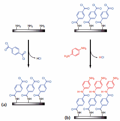 Illustration of the surface chemistry for poly(p-phenylene terephthalamide) MLD using (a) terephthaloyl chloride and (b) p-phenylenediamine as the homobifunctional reactants. Illustration of the surface chemistry for poly(p-phenylene terephthalamide) MLD
