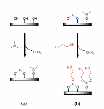 Illustration of the surface chemistry for poly(aluminum ethylene glycol) MLD using (a) trimethylaluminum as a homotrifunctional reactant and (b) ethylene glycol as a homobifunctional reactant. Illustration of the surface chemistry for poly(aluminum ethylene glycol) MLD