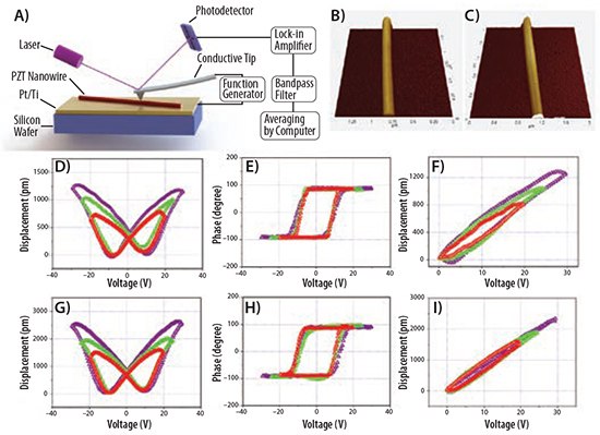 Schematics of piezoelectric force microscopy (PFM) testing setup; (B) topography of PbZr0.2Ti0.8O3 and (C) PbZr0.52Ti0.48O3 NWs. Displacement of PZT nanowires when subjected to three bipolar excitation waveforms of varying amplitude for (D) PbZr0.2Ti0.8O3 and (G) PbZr0.52Ti0.48O3. Phase change of PZT nanowires when subjected to three bipolar excitation waveforms of varying amplitude: (E) PbZr0.2Ti0.8O3 and (H) PbZr0.52Ti0.48O3. Displacement of PZT nanowires when subjected to three unipolar excitation waveforms of varying amplitude: (F) PbZr0.2Ti0.8O3 and (I) PbZr0.52Ti0.48O3. Schematics of piezoelectric force microscopy (PFM) testing setup
