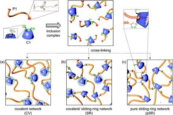 A schematic of the different network formation strategies applied in a hydrogel produced from alkyne-functionalized PEG and azide-functionalized CD.