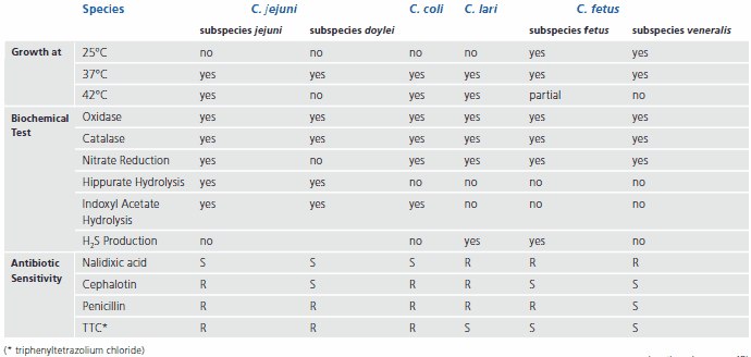 Table of differentiating characteristics of Campylobacter species and subspecies Table of differentiating characteristics of Campylobacter